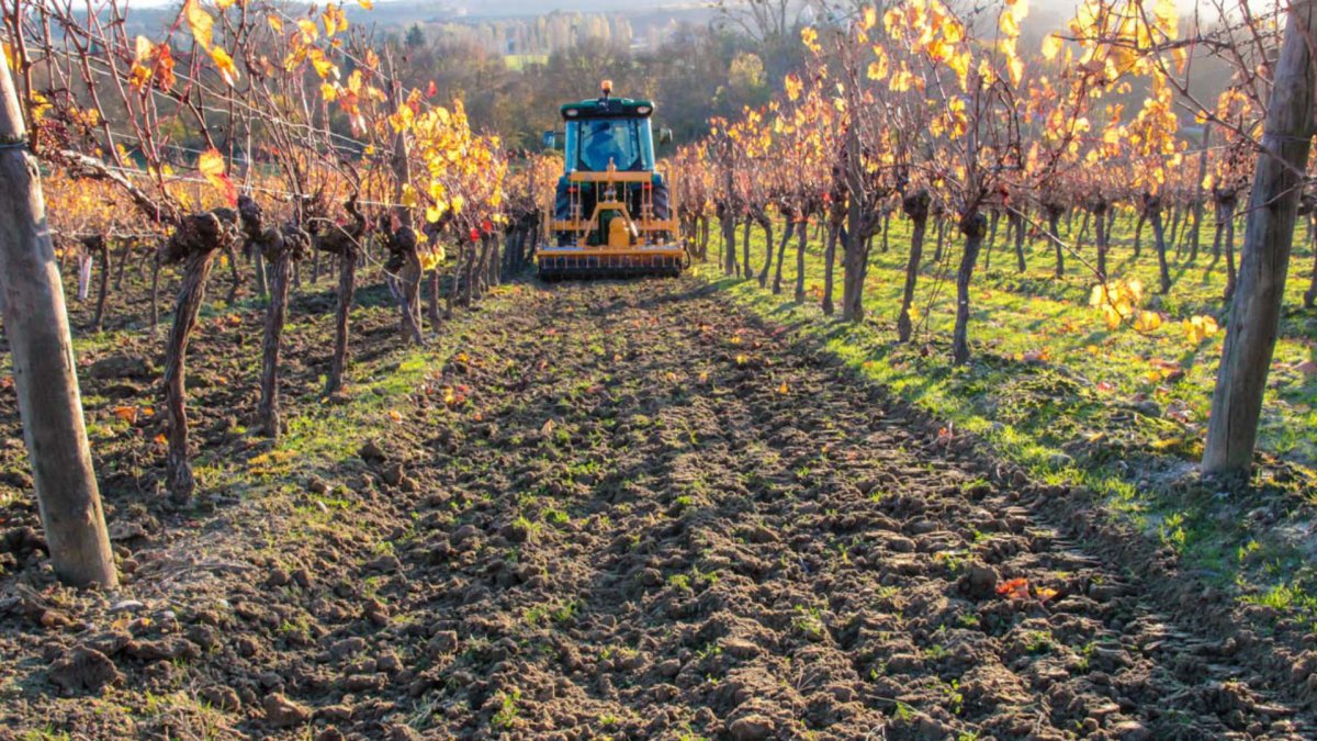 combivigne.jpg